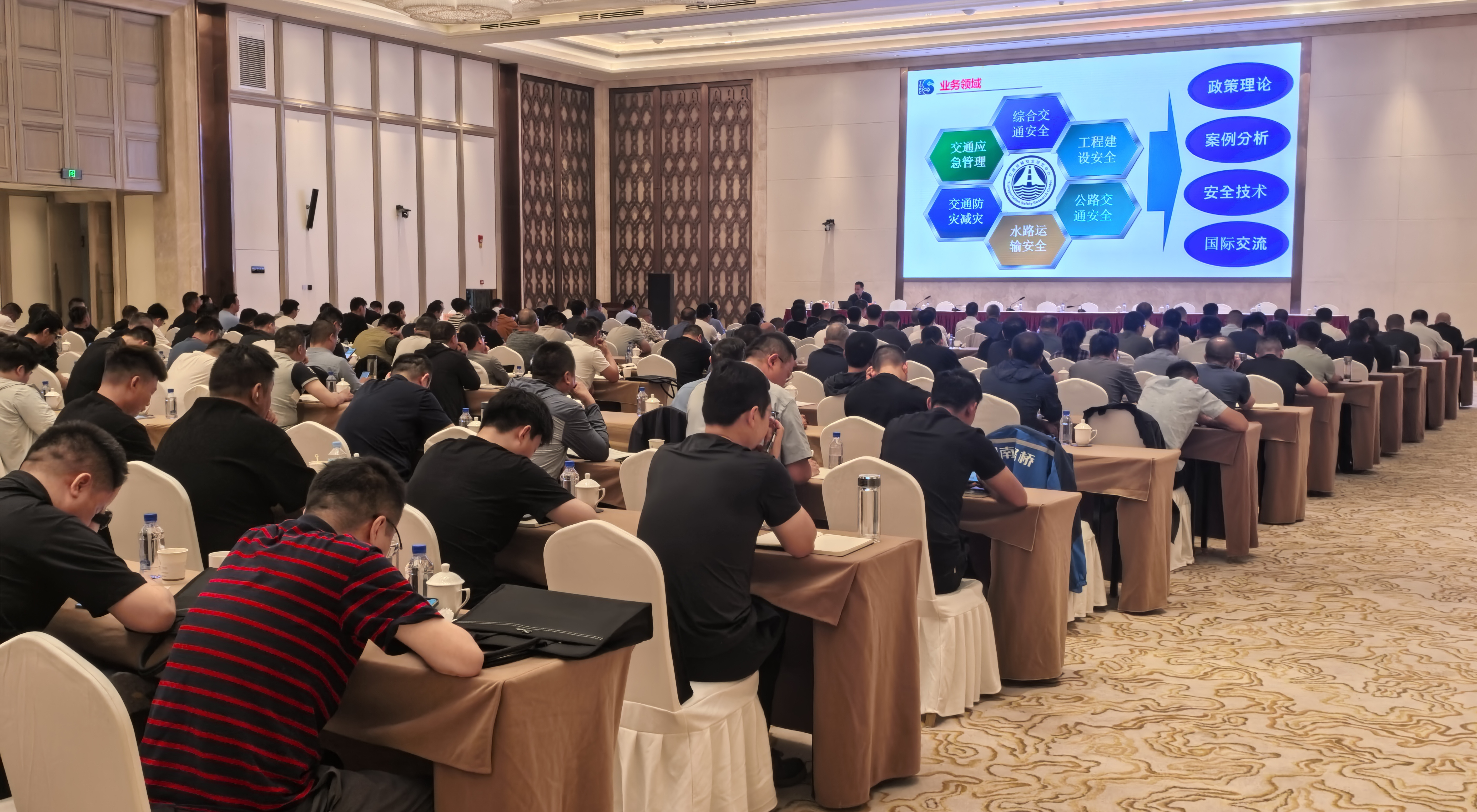 IMG_20250609_093641(1).jpg IMG_20250609_093641(1).jpg